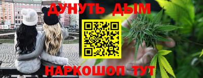 МДПВ Камышлов