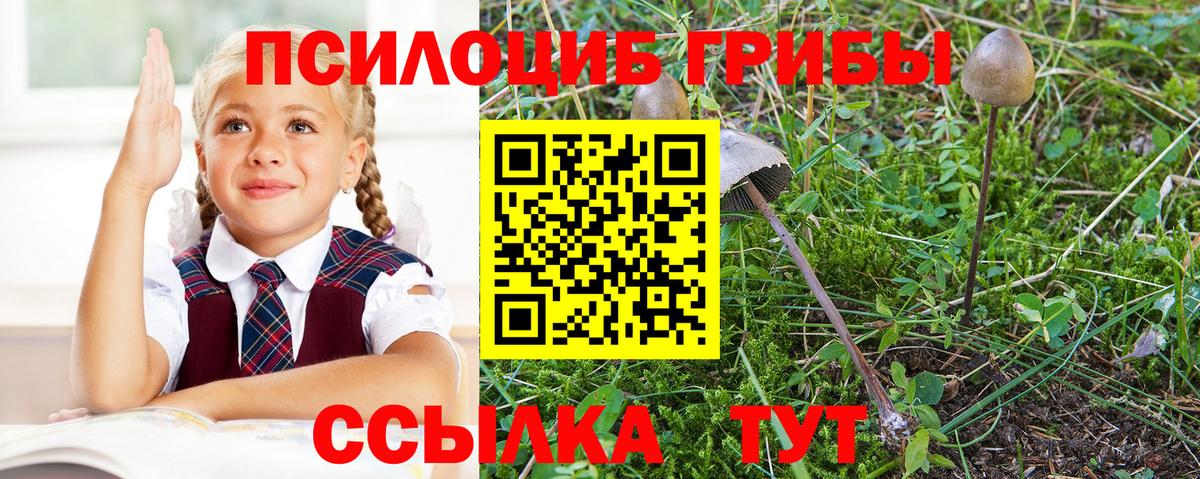 Галлюциногенные грибы ЛСД Лыткарино