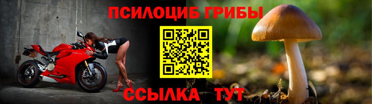 Псилоцибиновые грибы MAGIC MUSHROOMS  Вход с VPN  Лыткарино 